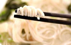 A crash course on Japanese noodles