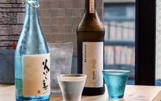 Ultimate Guide to Best Drinking in Tokyo